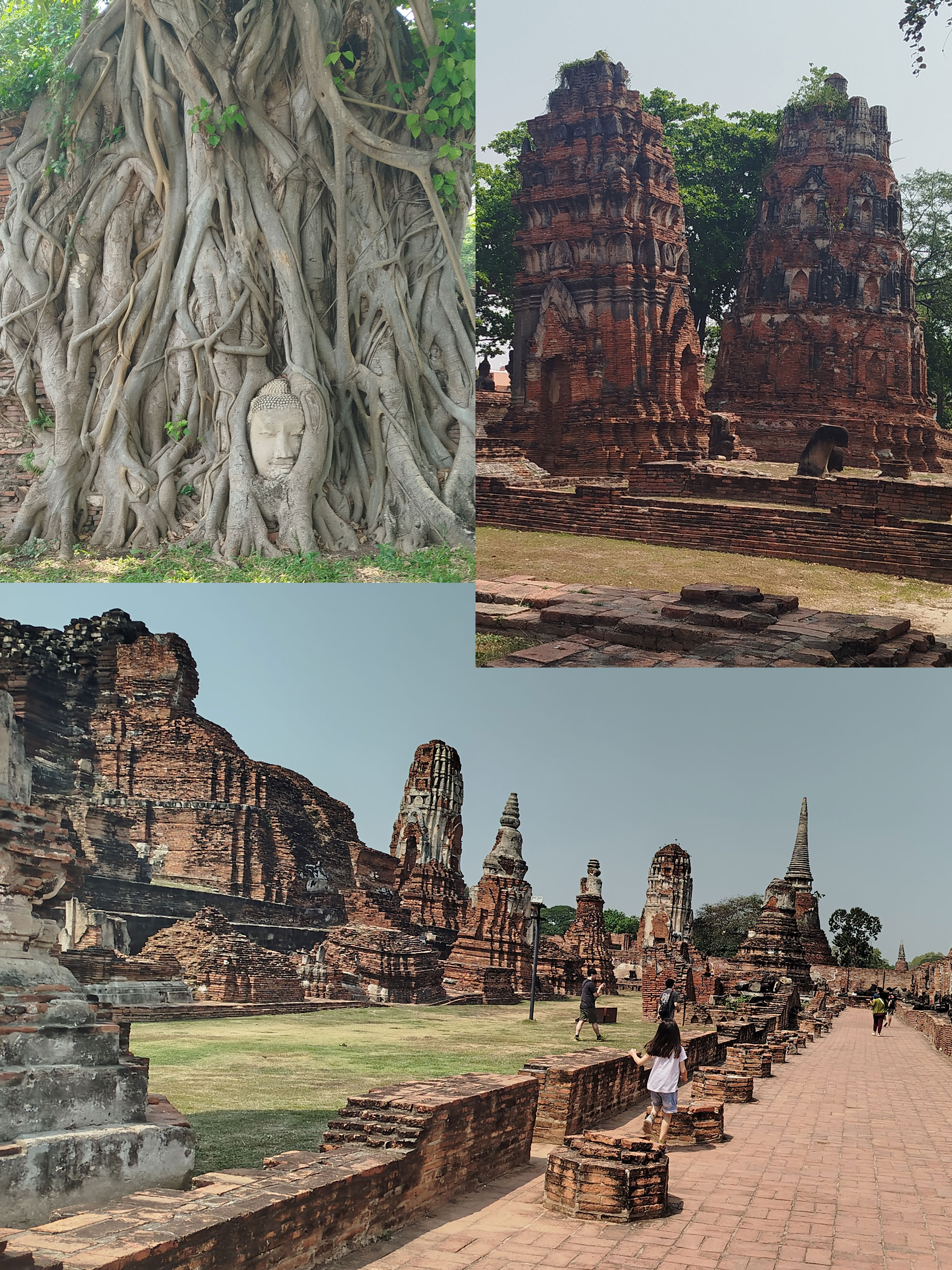 معبد Wat Mahathat در تایلند