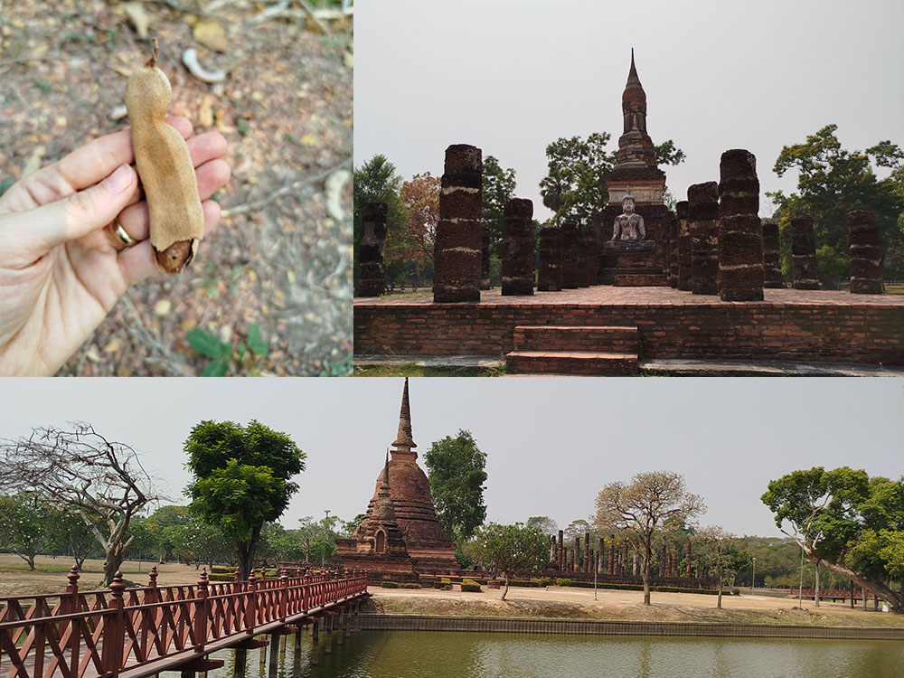 پارک تاریخی سوخوتای - ایستگاه سوم