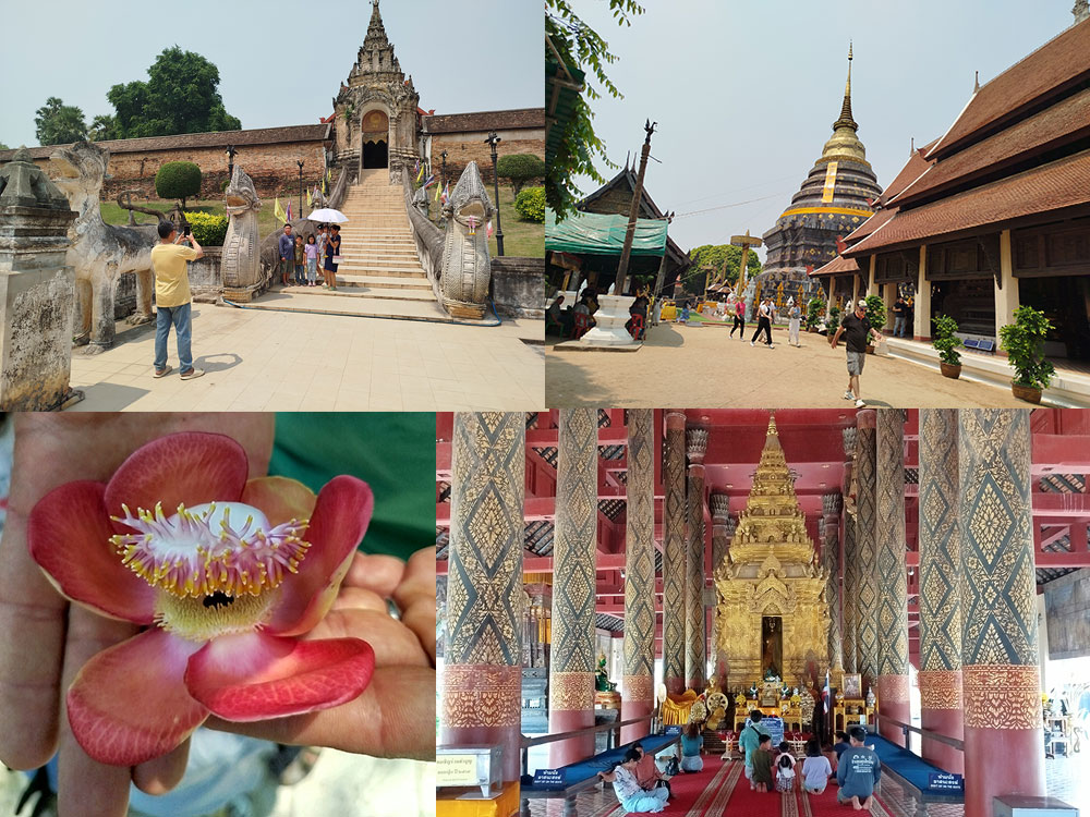   معبد Wat Phra That Haripunchai Woramahawihan