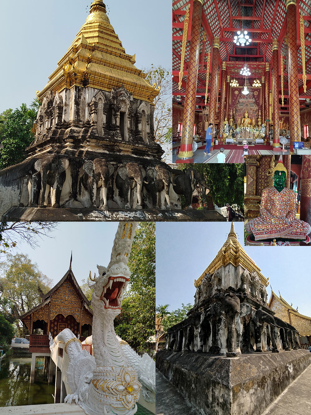   معبد Wat Chiang Man