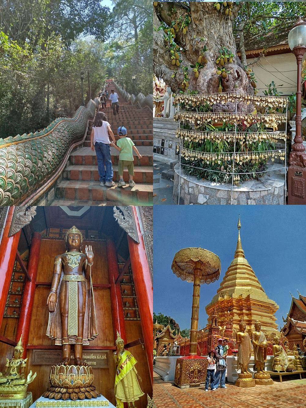  معبد Wat Phra That Doi Suthep