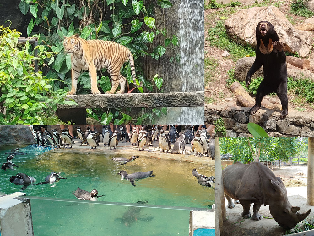 باغ‌وحش پاتایا